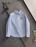V Spring/Summer Blue Vertical Stripes Shirt 0726052712