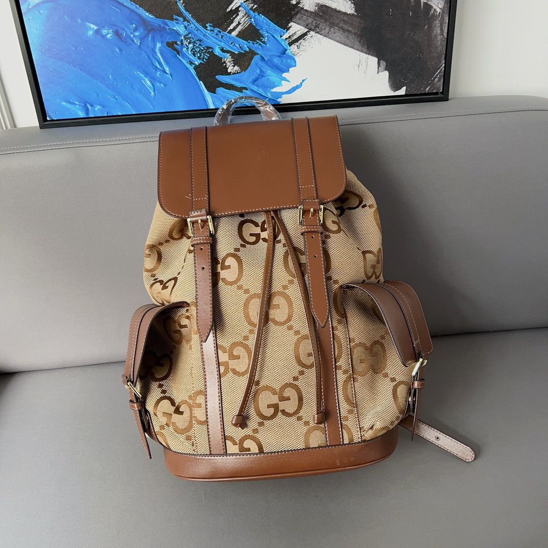 New backpack hiking bag PD10042107