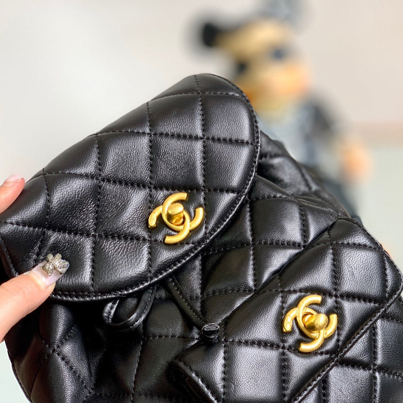 Vintage  Backpack-Gold-tone Metal-2 Sizes